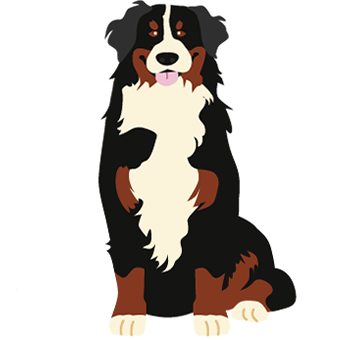 大型犬可