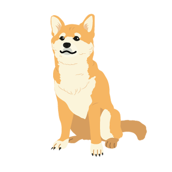 中型犬可