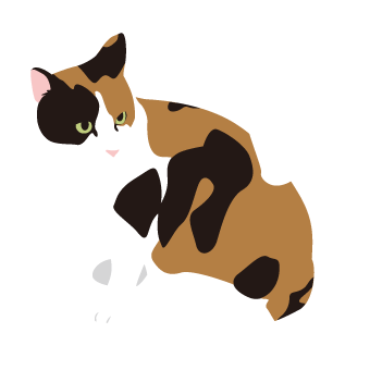 猫可